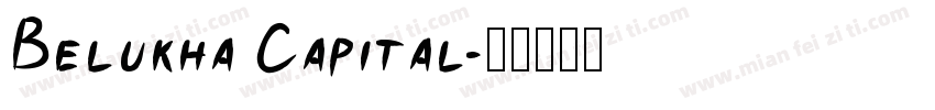 Belukha Capital字体转换